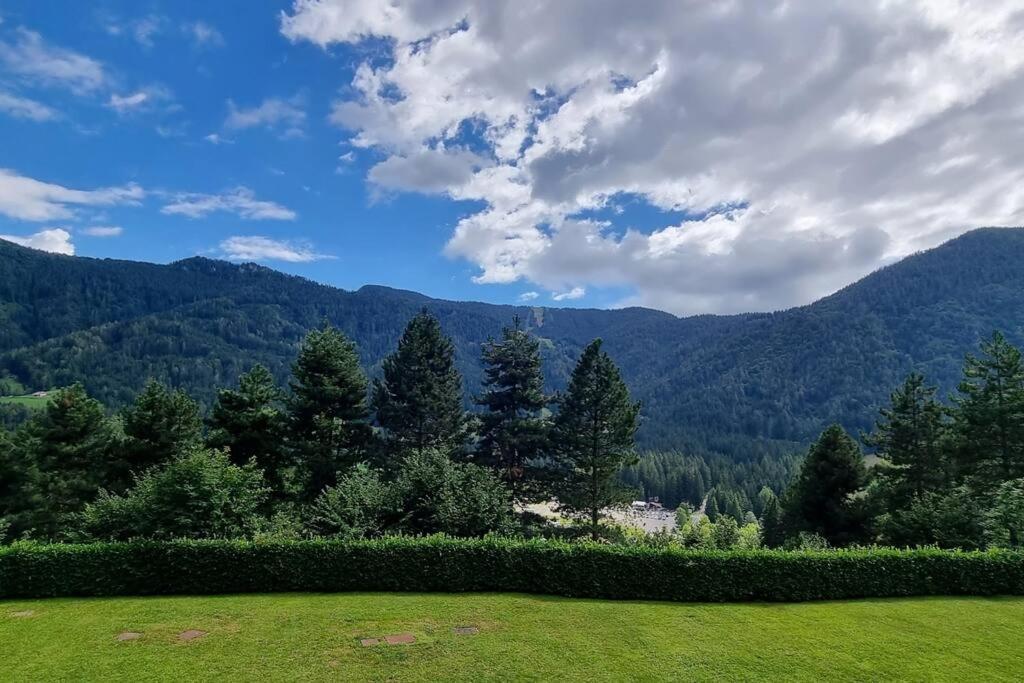 Happy Guest Apartments - Mountain Panorama Borno Zewnętrze zdjęcie
